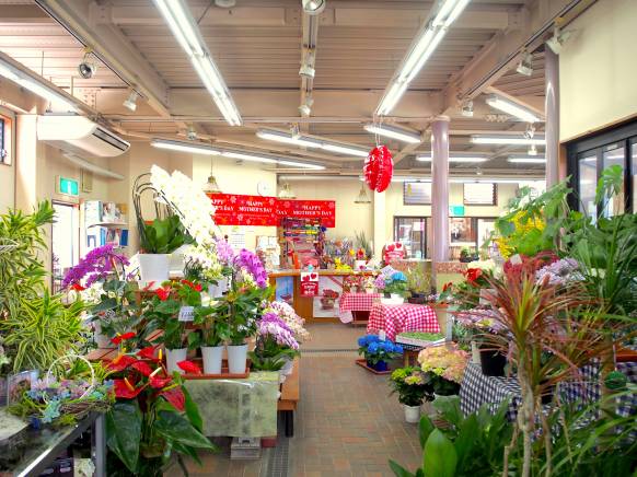 岡山県倉敷市の花屋 宮原生花店にフラワーギフトはお任せください 当店は 安心と信頼の花キューピット加盟店です 花キューピットタウン